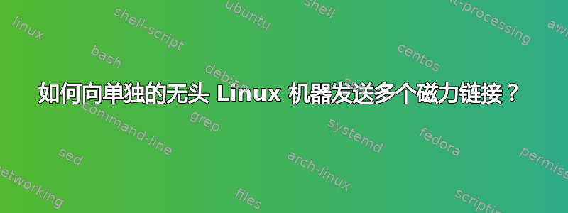 如何向单独的无头 Linux 机器发送多个磁力链接？