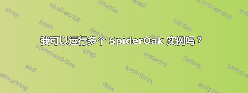 我可以运行多个 SpiderOak 实例吗？