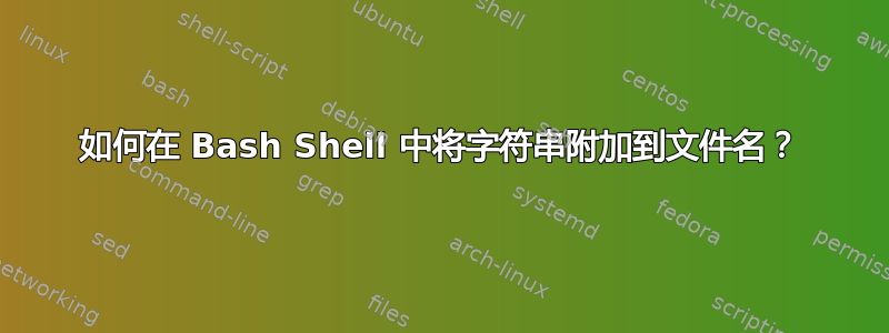 如何在 Bash Shell 中将字符串附加到文件名？