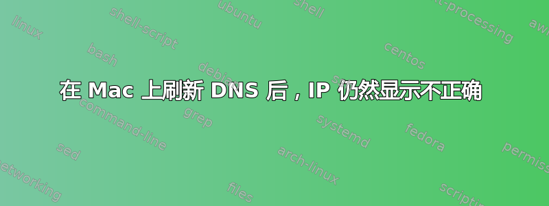 在 Mac 上刷新 DNS 后，IP 仍然显示不正确