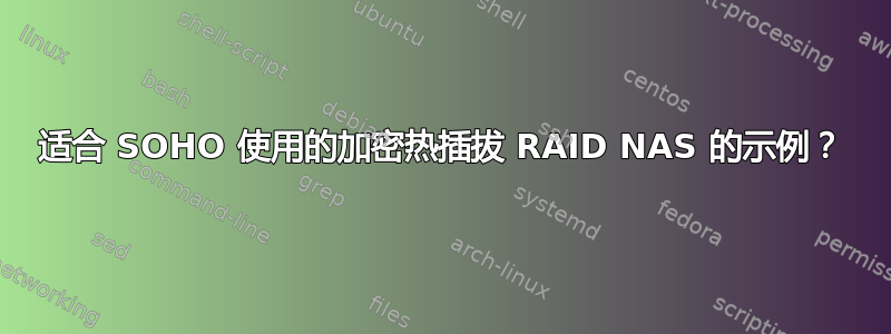 适合 SOHO 使用的加密热插拔 RAID NAS 的示例？