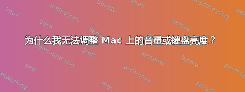 为什么我无法调整 Mac 上的音量或键盘亮度？