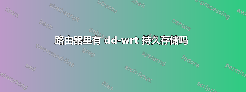 路由器里有 dd-wrt ​​持久存储吗