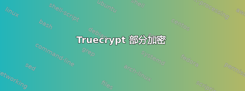 Truecrypt 部分加密