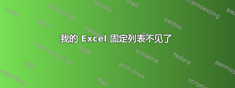 我的 Excel 固定列表不见了