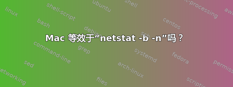 Mac 等效于“netstat -b -n”吗？