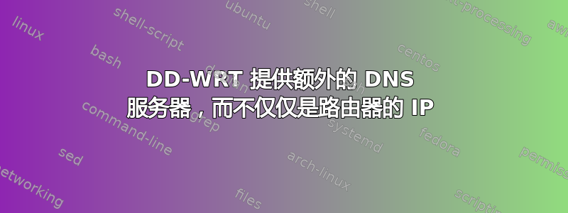 DD-WRT 提供额外的 DNS 服务器，而不仅仅是路由器的 IP