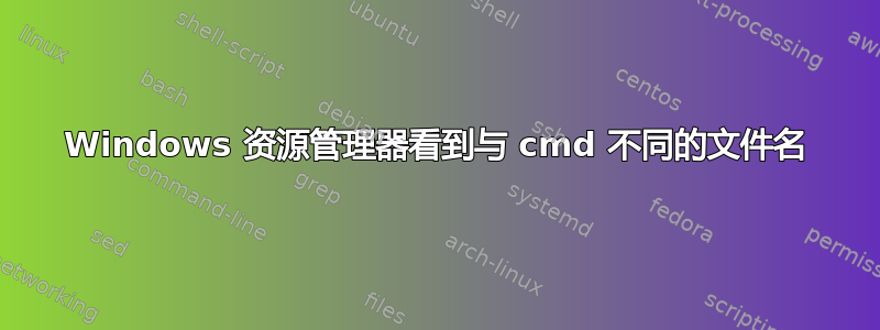 Windows 资源管理器看到与 cmd 不同的文件名