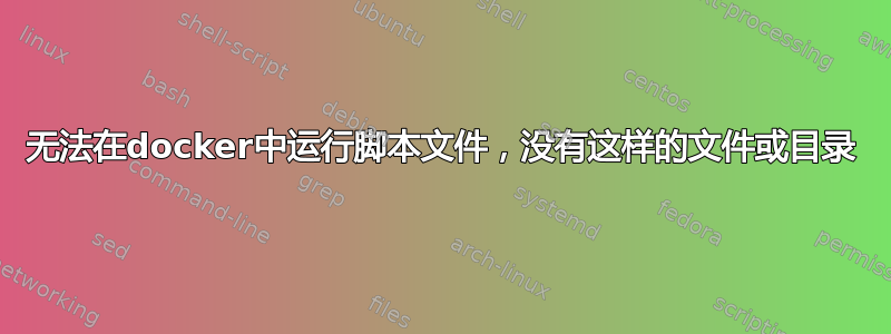 无法在docker中运行脚本文件，没有这样的文件或目录