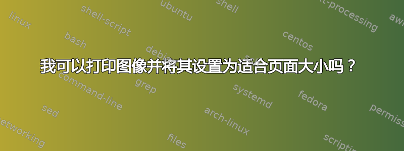 我可以打印图像并将其设置为适合页面大小吗？