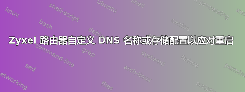 Zyxel 路由器自定义 DNS 名称或存储配置以应对重启