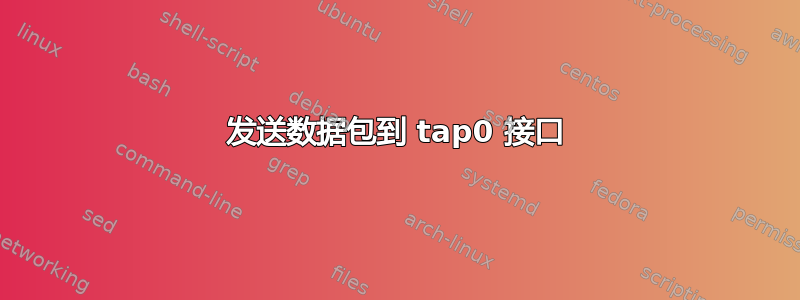 发送数据包到 tap0 接口