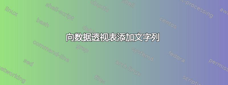 向数据透视表添加文字列