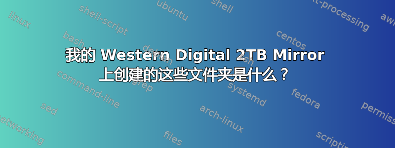 我的 Western Digital 2TB Mirror 上创建的这些文件夹是什么？