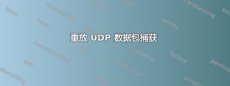 重放 UDP 数据包捕获