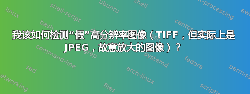 我该如何检测“假”高分辨率图像（TIFF，但实际上是 JPEG，故意放大的图像）？