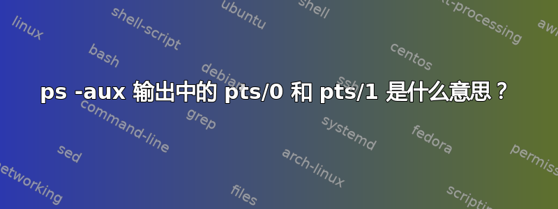 ps -aux 输出中的 pts/0 和 pts/1 是什么意思？