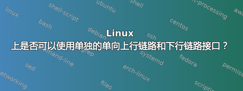 Linux 上是否可以使用单独的单向上行链路和下行链路接口？