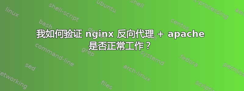 我如何验证 nginx 反向代理 + apache 是否正常工作？