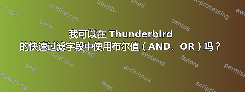 我可以在 Thunderbird 的快速过滤字段中使用布尔值（AND、OR）吗？