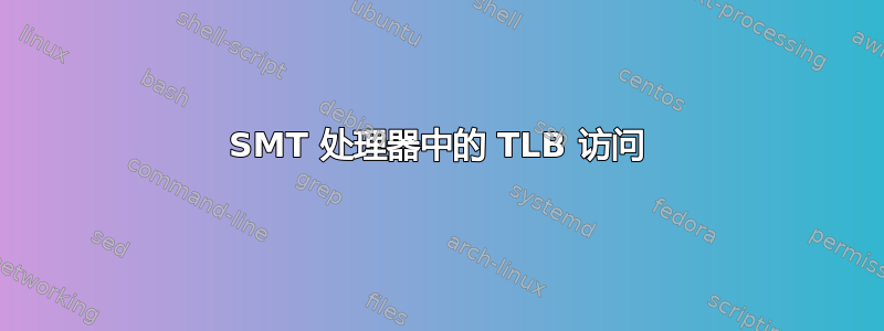 SMT 处理器中的 TLB 访问