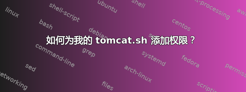 如何为我的 tomcat.sh 添加权限？