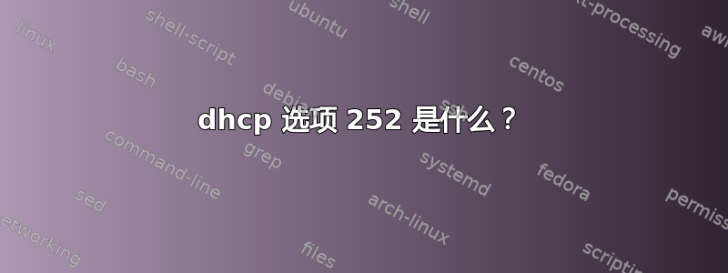 dhcp 选项 252 是什么？