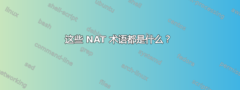 这些 NAT 术语都是什么？