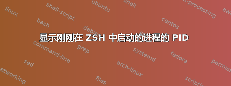 显示刚刚在 ZSH 中启动的进程的 PID