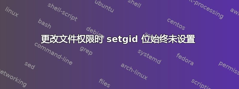 更改文件权限时 setgid 位始终未设置