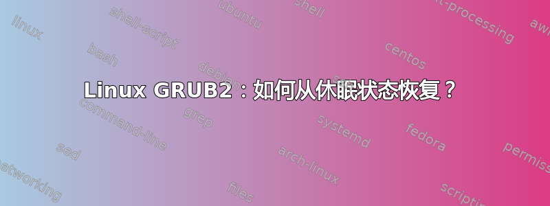 Linux GRUB2：如何从休眠状态恢复？