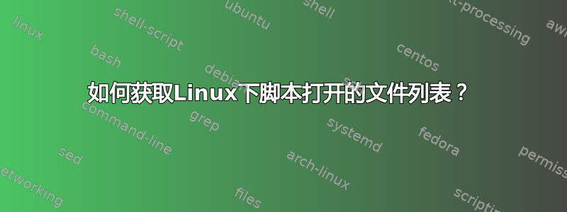 如何获取Linux下脚本打开的文件列表？