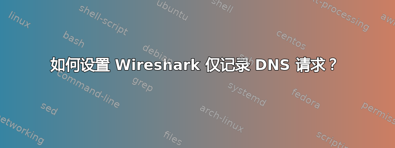 如何设置 Wireshark 仅记录 DNS 请求？