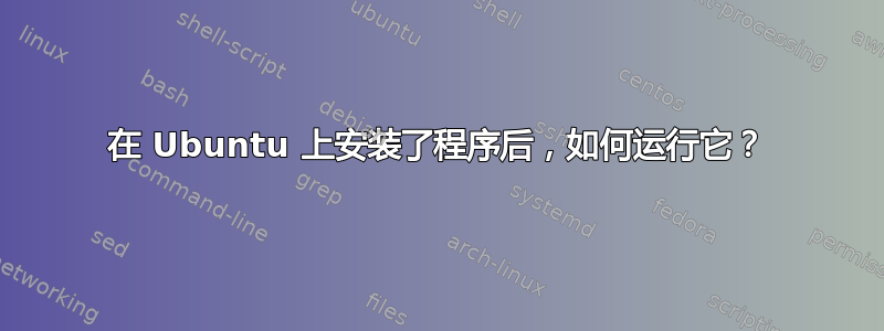 在 Ubuntu 上安装了程序后，如何运行它？