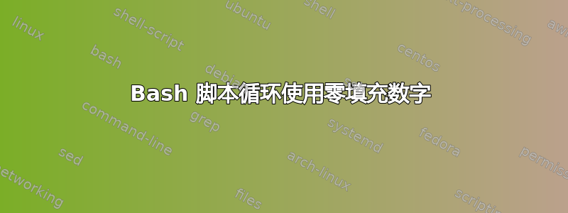 Bash 脚本循环使用零填充数字