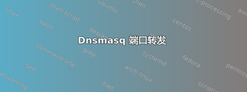 Dnsmasq 端口转发