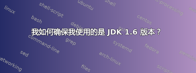 我如何确保我使用的是 JDK 1.6 版本？