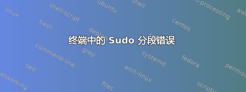 终端中的 Sudo 分段错误