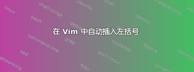 在 Vim 中自动插入左括号