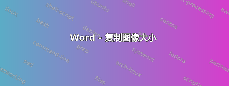 Word - 复制图像大小