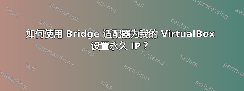 如何使用 Bridge 适配器为我的 VirtualBox 设置永久 IP？