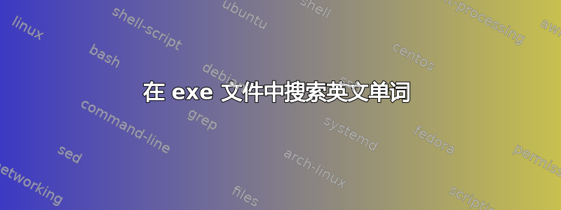 在 exe 文件中搜索英文单词