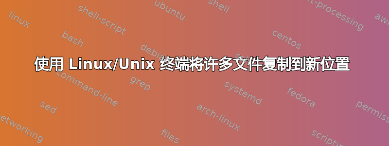 使用 Linux/Unix 终端将许多文件复制到新位置