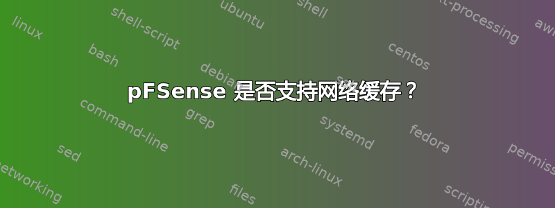 pFSense 是否支持网络缓存？