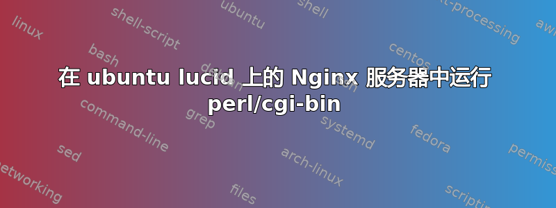 在 ubuntu lucid 上的 Nginx 服务器中运行 perl/cgi-bin