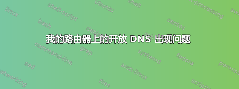 我的路由器上的开放 DNS 出现问题