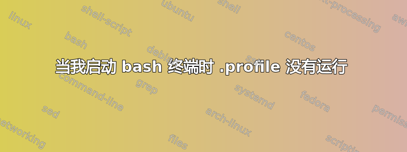 当我启动 bash 终端时 .profile 没有运行