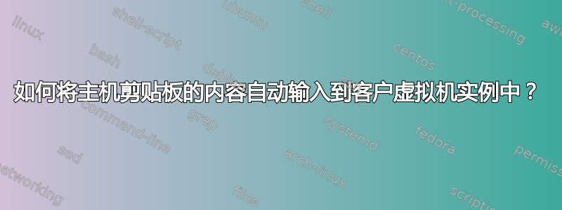 如何将主机剪贴板的内容自动输入到客户虚拟机实例中？