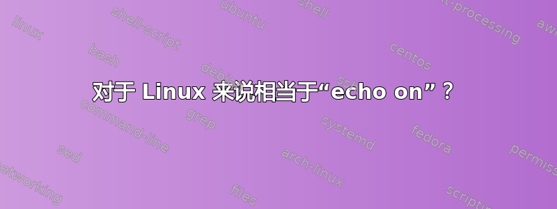 对于 Linux 来说相当于“echo on”？