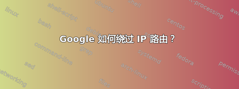 Google 如何绕过 IP 路由？